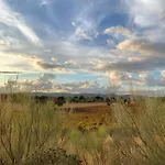 La Guzmana De *