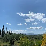 La Guzmana De *