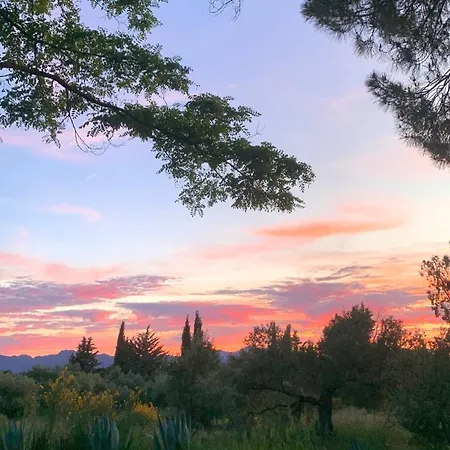 La Guzmana De מלון רונדה
