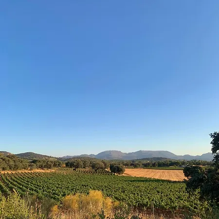 La Guzmana De * רונדה