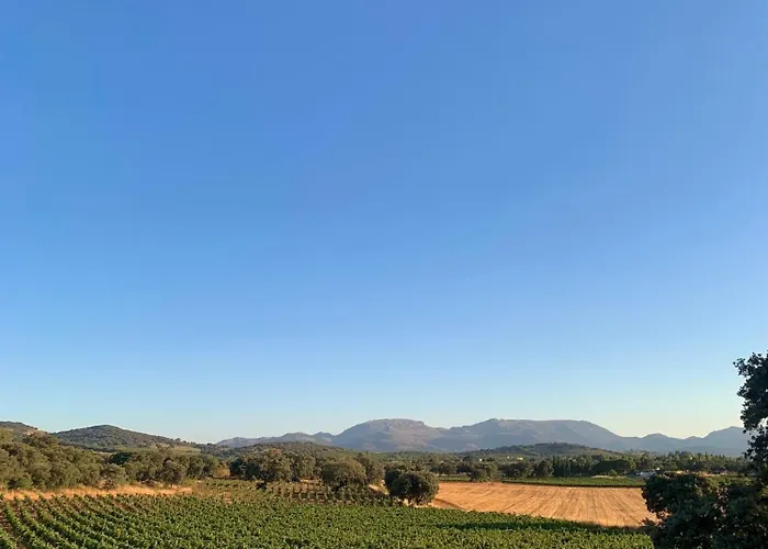 La Guzmana De * Ronda