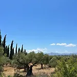 La Guzmana De فندق