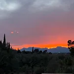 La Guzmana De روندا