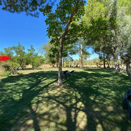 La Guzmana De روندا