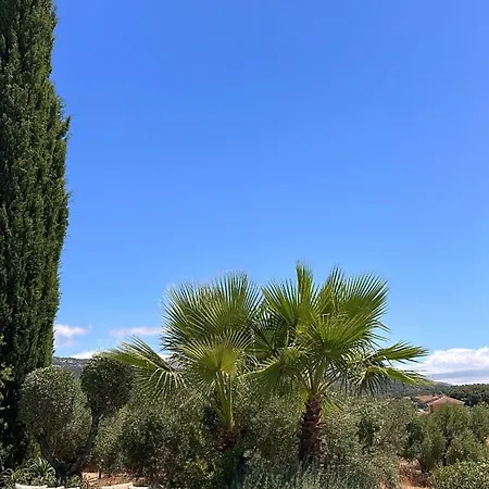 La Guzmana De *