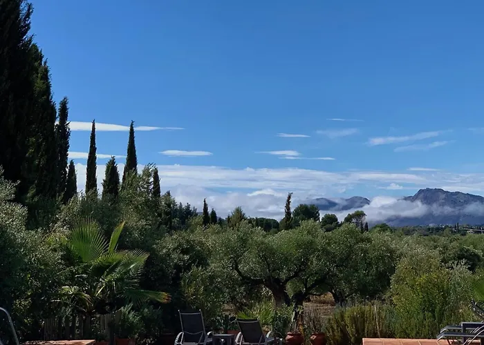 La Guzmana De Hotel *