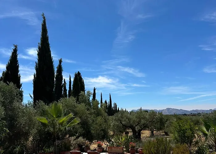 La Guzmana De * Ronda